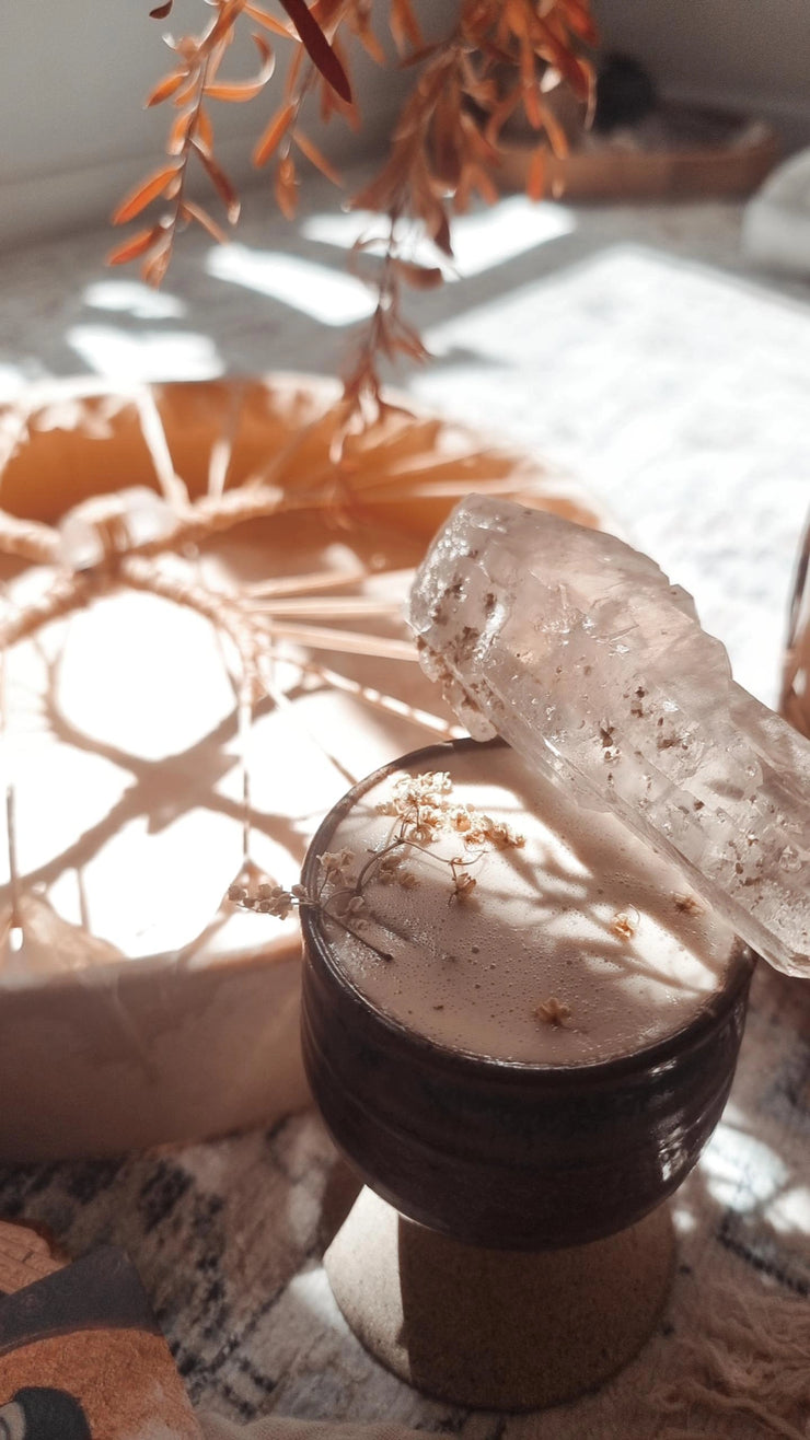 Pure Macambo - Theobroma Bicolor – Morning Ritual Cacao